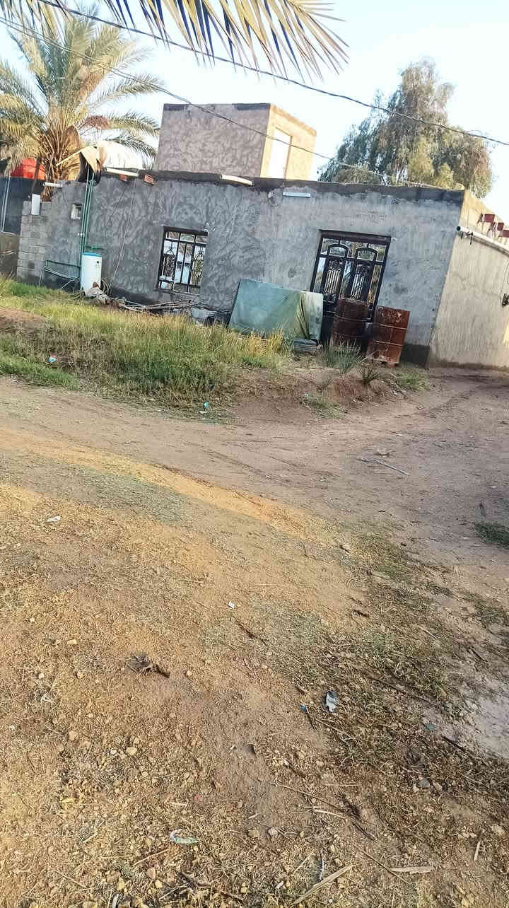 سلام عليكم ارض طابو زراعي سند 25 إقرار محكمه للبيع المساحه 3 دونم وربع مع دارين  العنوان الحله ابوغرق خلف المجمع السكني تبعد عن شارع كربلاء حله 2كيلو  خدمات كامله مي سقي واسأله وكرهباء  السعر 275 مليون مع مجال الاستفسار ***********
