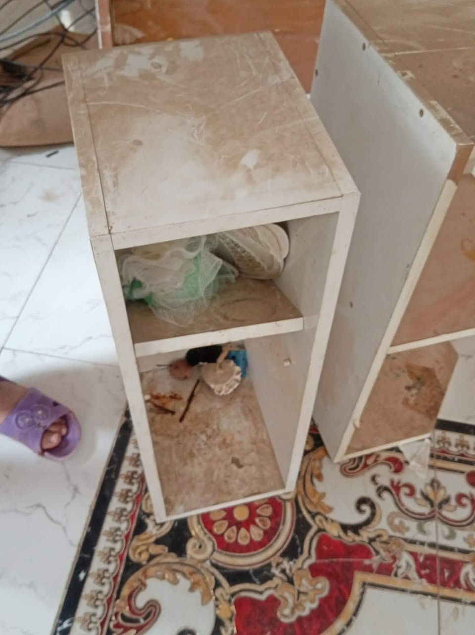 غراض بيت يريد يشتري يلتقط صوره لي وكله بسعر مكان بين فظليه وسوك


**إذا كنت صاحب هذا الإعلان وتريد حذفه لأي سبب، رجاءا أرسل رسالة إلى الدعم الفني**