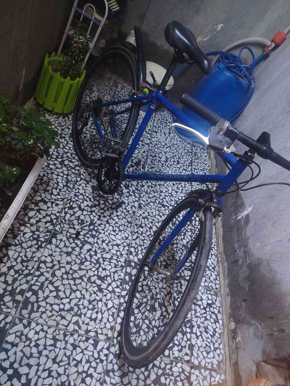 سلام عليكم ورحمة الله
بايسكل ياباني /c700 جديد صالي اسبوعين ماخذه باله البايسكل بس مال بايدر مسحوكه من تخلي البراغي  بس و موجوده هم وسعره 85الف قفل وكو توصيل جميع المحافظات العراق ***********
