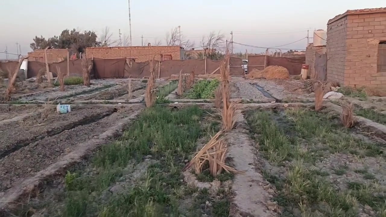 بيت زراعي + مزرعه مساحة فوك نص دونم يحتوي ع أنواع ازرع ولبيت صغير يحتوي ع غرفتين وصاله وصحيات وساحه الموقع بدايه الساده الشرامطه طريق سوق بصره قريب ع شارع العام 
سعر 19 وبي مجال ***********
