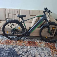 زانداب ألماني • ٢٩ إنش • مساعد كهربائي