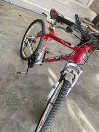 باسكل • جبلي • ما بيه عيب