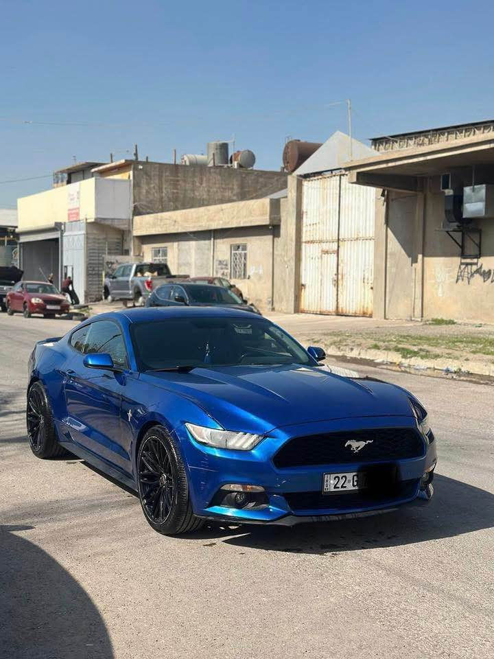 بيع او مراوس

موستنك ستة سلندر 

‏Mustang 2017 V6

كير محرك اكسل شرط

صبغ  3 قطع 

ايرباك فقط ستيرن

ماشيه 85 ميل

صدر امامي خلفي جديد

تبريد كهربائيات شرط

سياره شرط مابيها مصرف نهائيه

رقم اربيل تحويل شرط 

مكان سياره اربيل

سعر 145$ وبي مجال 

للبيع او مراوس شمالي فقط

واتسئاب : ***********

‏ أربيل, العراق
