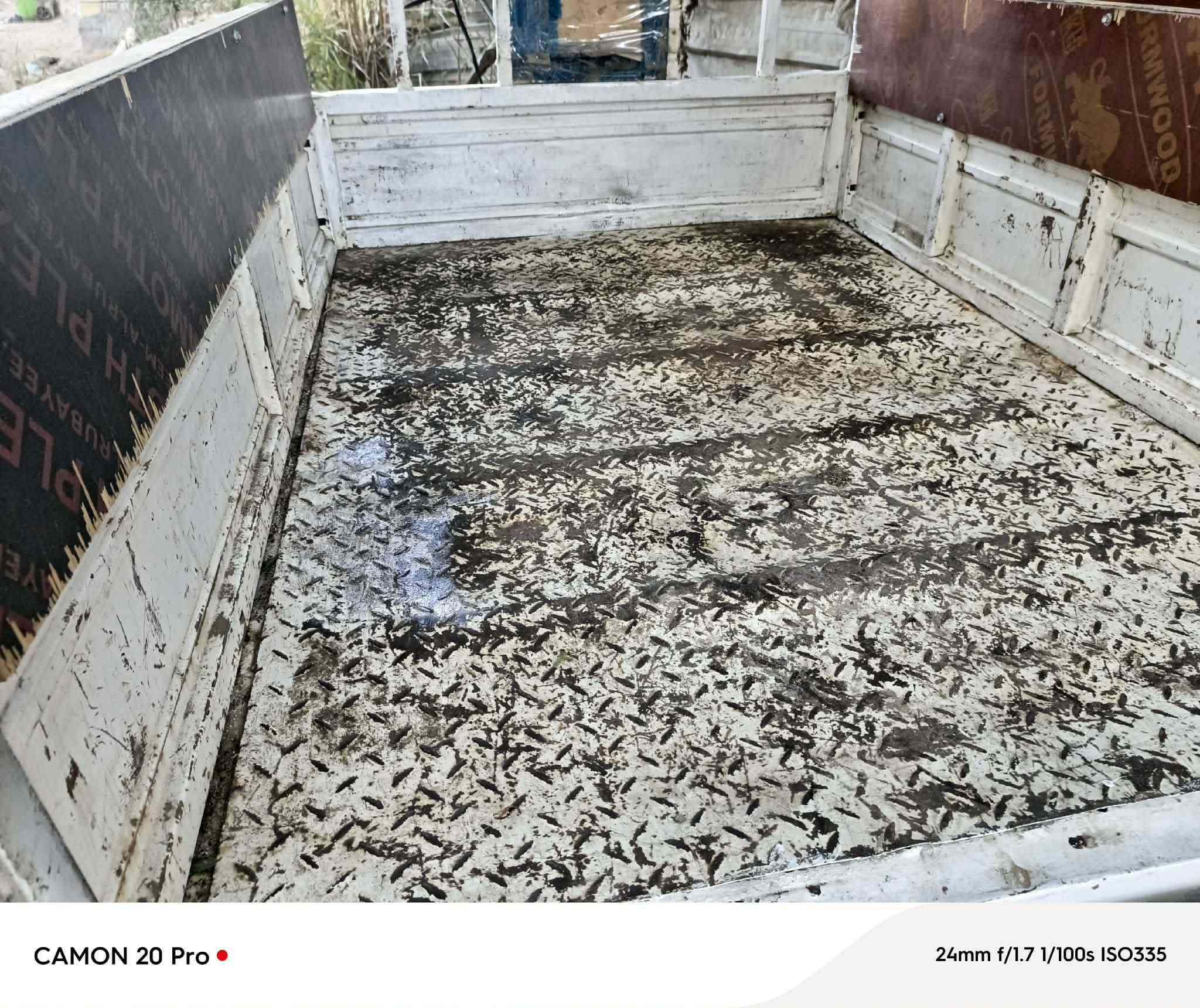 دايون موديل 20
مكينه كارتون ستوته خير من الله 
السعر 1300
اوراق كامله واصوليه 
للتواصل على الرقم ***********
