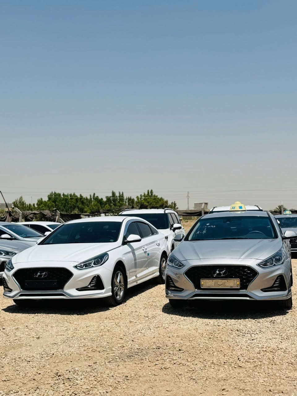 بسم الله الرحمن الرحيم
         وصول وجبة من السيارات الحديثة 
كرنفال 2023 ابيض بانزين فول او نص فول
سوناتا 2023 غاز. ابيض او رصاصي
ازيرا غاز الشكل الجديد او القديم 2023 ابيض ورصاصي
K8 غاز رصاصي 2023
K5 غاز رصاصي او اسود 2023
المكان بابل الشوملي قرب السيطرة 
للاستفسار الاتصال ع الارقام
*********** سيد عباس
***********
