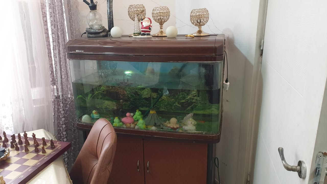 السلام عليكم غراض غرفة ضيوف للبيع 
التخم ٧٥٠ الف . ميز 6 كراسي كلش نظيف ٢٠٠الف ميز وسطي وطبلات ٤ 125  الف .فاترينة ٦٥ الف . حوض السمك ١٢٥ الف واذا كلهم ياخذهم بيهم مجال الي ير يدهم يدخل خاص


**إذا كنت صاحب هذا الإعلان وتريد حذفه لأي سبب، رجاءا أرسل رسالة إلى الدعم الفني**