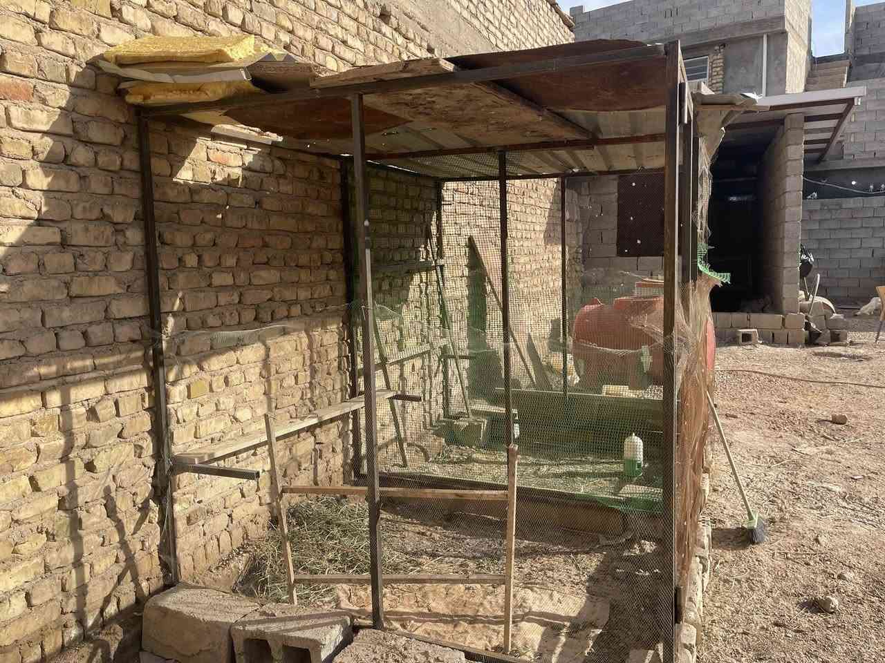 سلام عليكم متاح قفص الطول 3متر والارتفاع 2متر والنزال 2متر /وياه سكف  جينكو عدد ثنين كل وحده طوله 2متر ونص  كما موضح بل فيديو /سعره 190وبيه مجال بسيط /اي ستفسار مراسله اصفحه إو التصال/على رقم /***********
