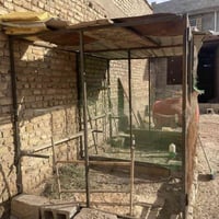 متاح قفص الطول 3متر والارتفاع 2متر والنزال 2متر /وياه سكف  جينكو عدد ث...