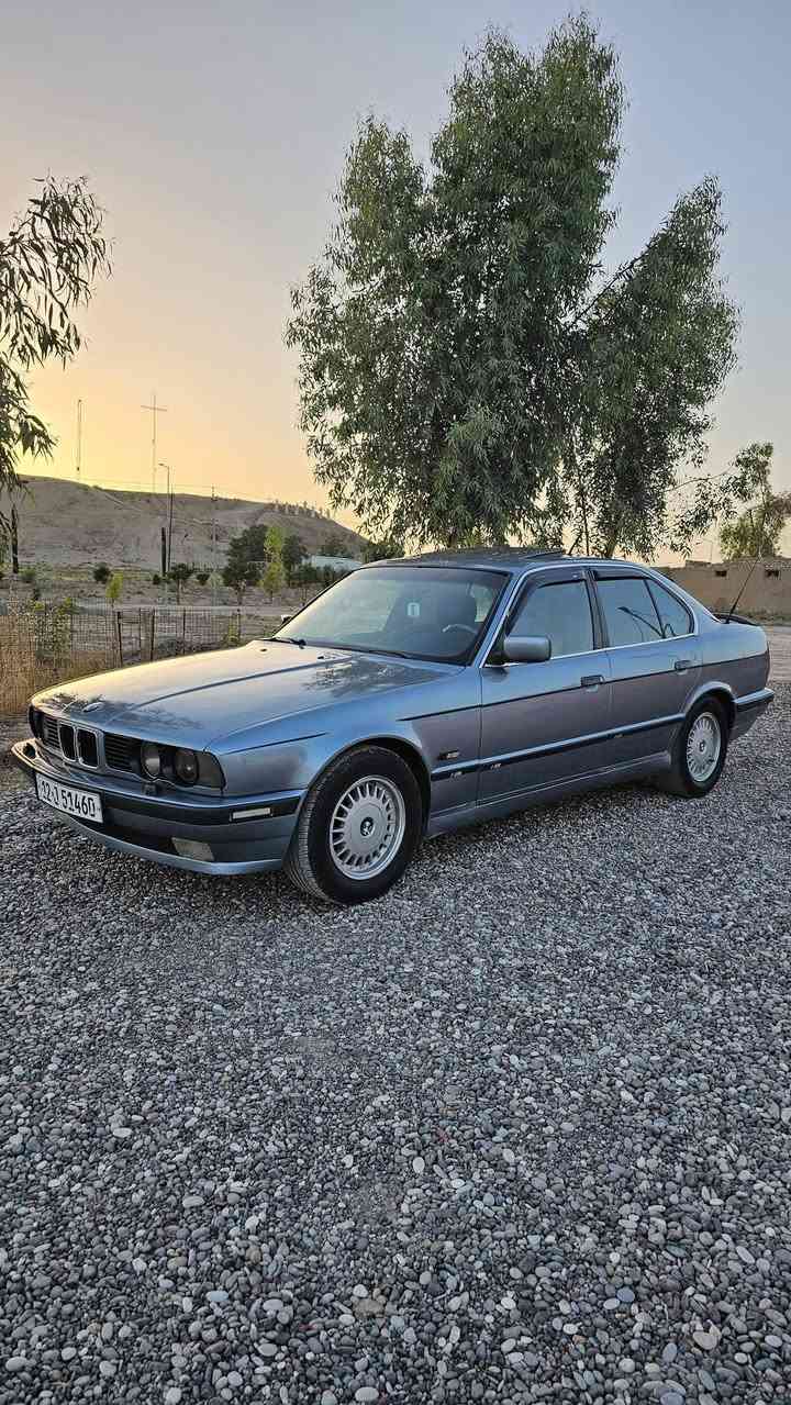 525 بيع او مروس السعر ٤٢ الرقم ***********
