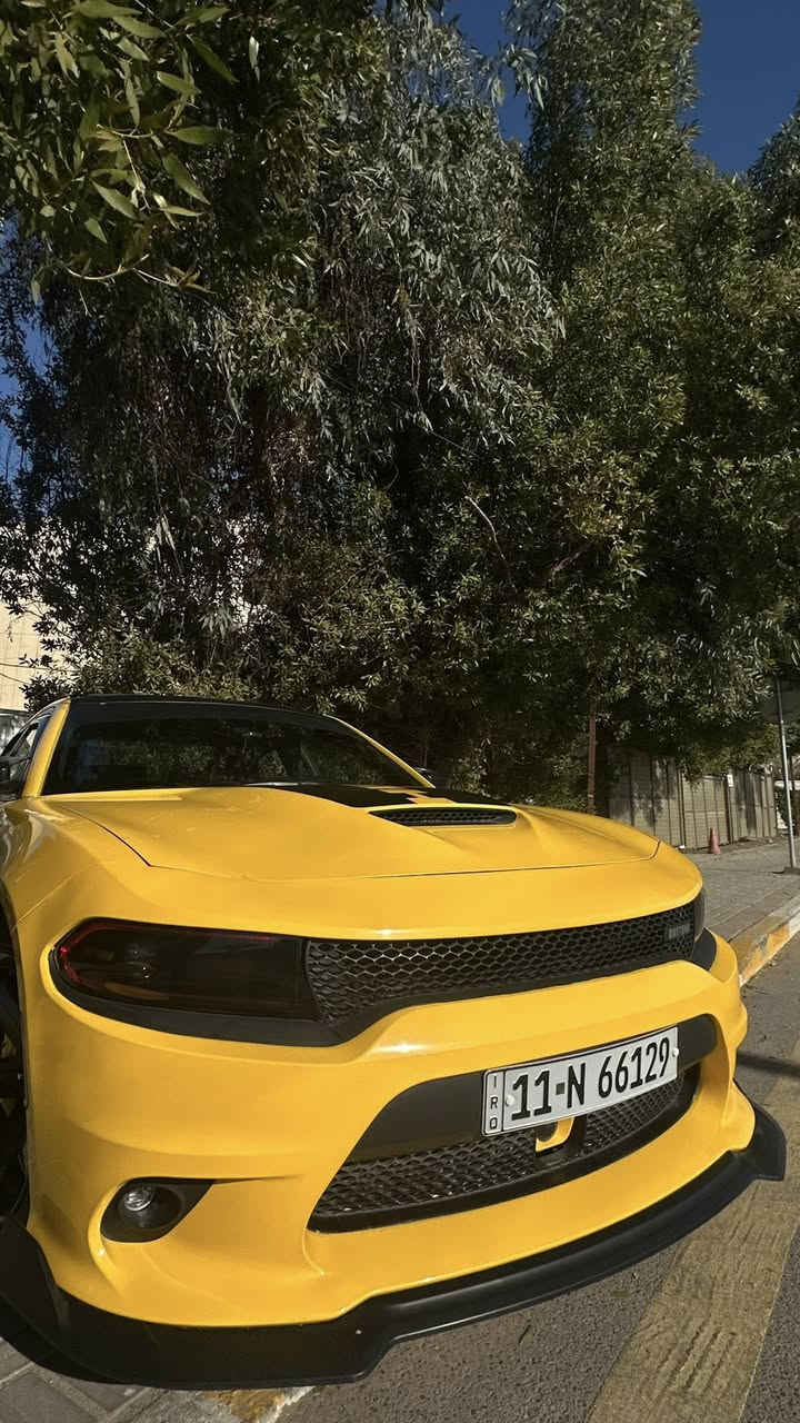 السلام عليكم ..
جارجر دايتونا
موديل ٢٠١٧
محرك٥٧٠٠
المواصفات 1/1 شنو بالك بيه
رادار امامي
رادار جانبي
مري قلاب +تعتيم
فتحة سقف
حساس خلفي
شاشه كار بلي
شفتات ستيرن 
سستم صوت الباين +دمام بلجنطة بلاد
كشنات  حضن خزن ميموري
تدفئه تبريد كشنات
سوبر تراك باك
ستيرن كهرباك 
داخل كنتارا وجلد 
ويل كب نجمه
كت اضافات خارجية كامل
كزوز موبار وعليه بوابات كتم وعليه كت اوف
قماره اسود بلاد + ستيكرات دايتونا
لايت متغير +عدسات Q5
ماشيه 84 ميل 
ادامه كامله علسياره من بلكات وفيت بم وباتري وتبريد
وصدر +برمجه 
رقم  بغداد انكليزي 
السياره قطعه وحدة صبغ بدون ايرباك 
السعر 215$
وصور الحادث موجودة
***********
مكان السياره بغداد نفق الشرطة
