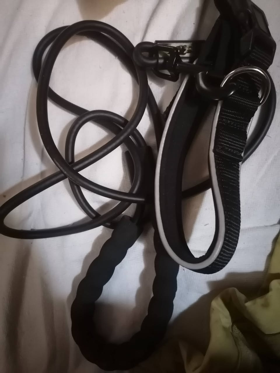 غراض مال قطط وكلاب


**إذا كنت صاحب هذا الإعلان وتريد حذفه لأي سبب، رجاءا أرسل رسالة إلى الدعم الفني**