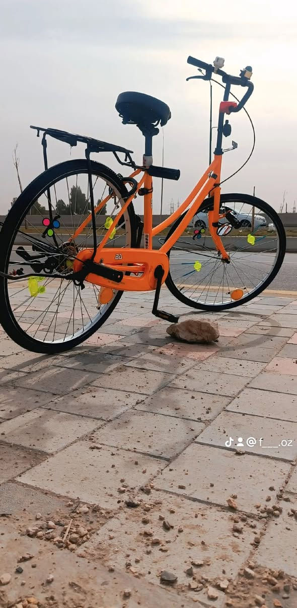 للمراوس


**إذا كنت صاحب هذا الإعلان وتريد حذفه لأي سبب، رجاءا أرسل رسالة إلى الدعم الفني**