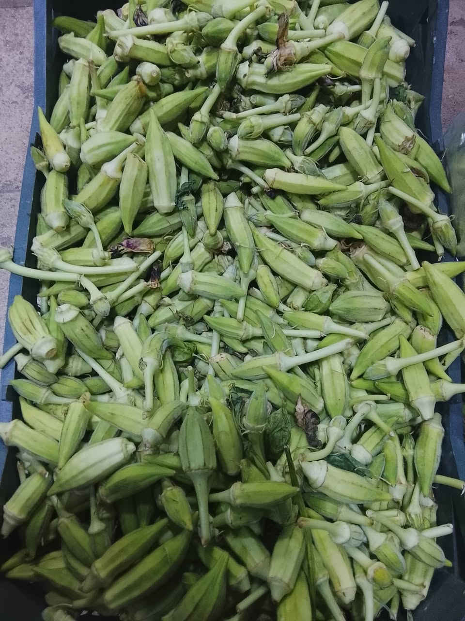توصيل داخل بعقوبة مجاني باب البيت مجاني توصيل ❤️ مسواك كامل
توصيل رقم الهاتف العنوان ***********

