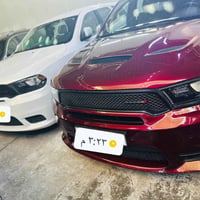 يوجد دوج دورنكو جدد باقي تفاصيل تصل 📞07749658111