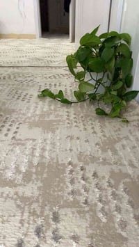 سجادة جديدة • ٣×٥م • ٣×٤م