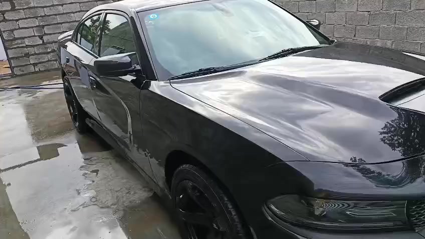 بوليش+نانوسيراميك+ ازالةppf (موقعي) بغداد نجيك لبيتك نبولشلك سيارتك بمواد أمريكية بأنسب الاسعار 🇺🇲
داخل وخارج
بوليش للجام 
تكحيل احترافي
جلي مازدات من الخارج 
تلميع تايرات +تلميع سوادات +محرك
سيارة تتبولش ٤ قوط
نانو سيراميك طبقة حماية للسيارة بلكامل
تواصل على الارقام التالية
***********
***********
واتساب
