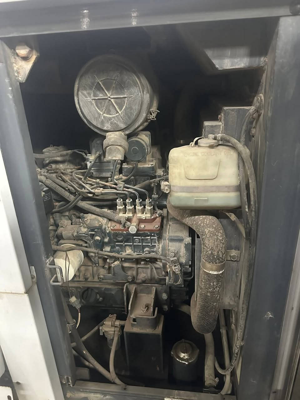 السلام عليكم مواليد للبيع اربعه بستم ***********
