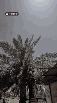 سلام عليكم ستوته للبيع موديل 17 مكينه 25 اوراق أصولي مكاني دوانيه شاميه سعر 2500 مليونين ونصف وبيه مجال ***********
