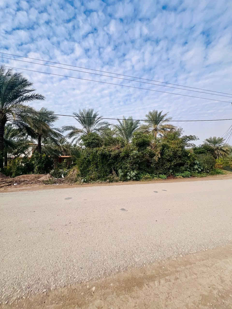 سلام عليكم على بركت الله ✨
🔹ارض للبيع مساحه(43)دونم
🔶مساحة الشاطية(2دونم)
🔸موقع واسط العزيزية الدير الادنى 
🔷قرب سيد العوادي 
🔸طابو صرف عثماني 
🔹تحتوي على (ثلاث منازل )
🔹بستان مثمر 
الاستفسار مراجعة مكتب عمار احمد للعقار 
الاتصال…

‭📞***********‬

‭📞***********‬
