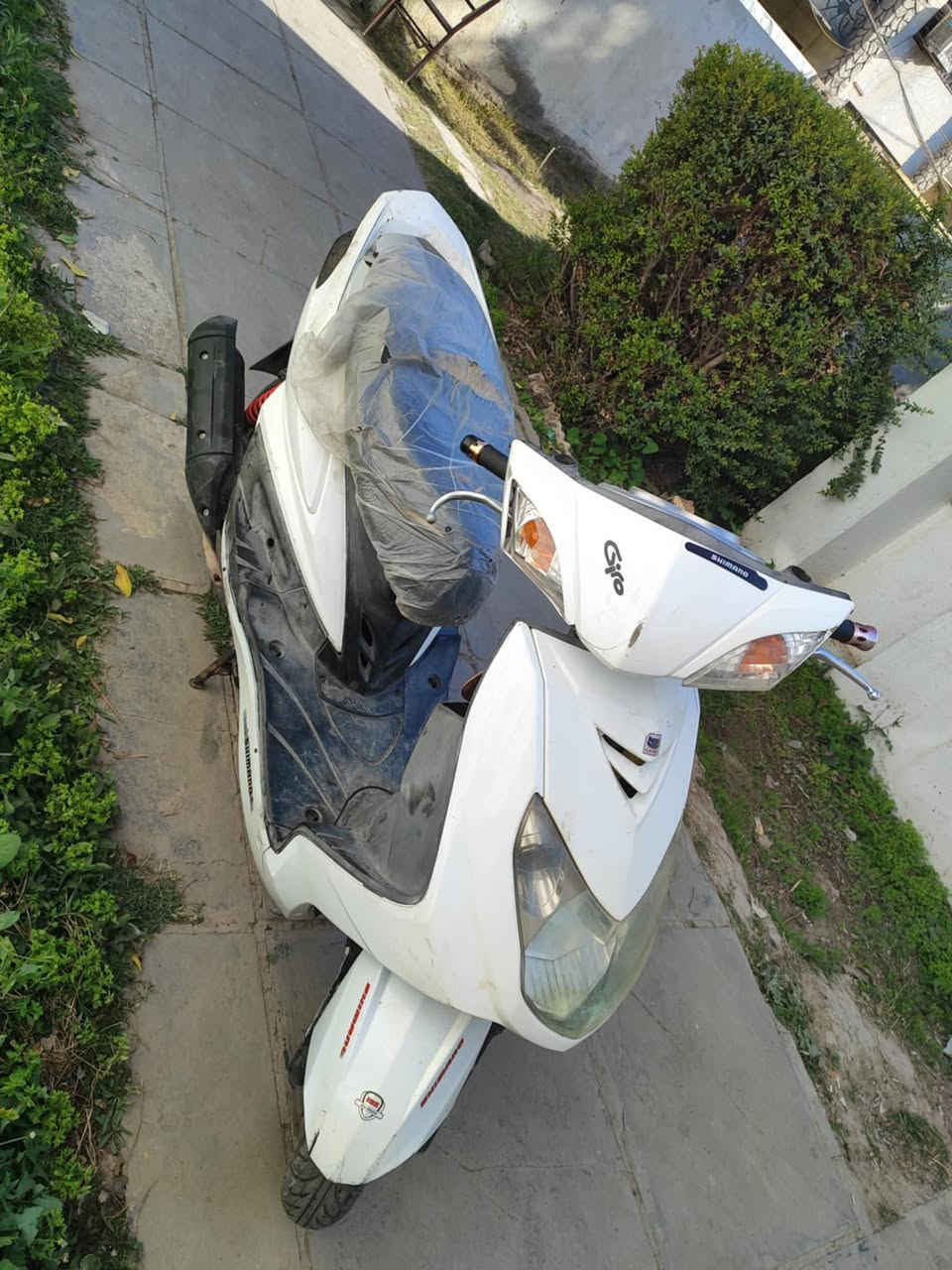 السلام عليكم ورحمه الله وبركاته
للبيع سكنس فحل شغاله نص نكره مكينه تخبل شلعه معدل فول للبيع مكاني بغداد العطيفيه قرب جامع براثا سعر450الف قفل هاتف***********
