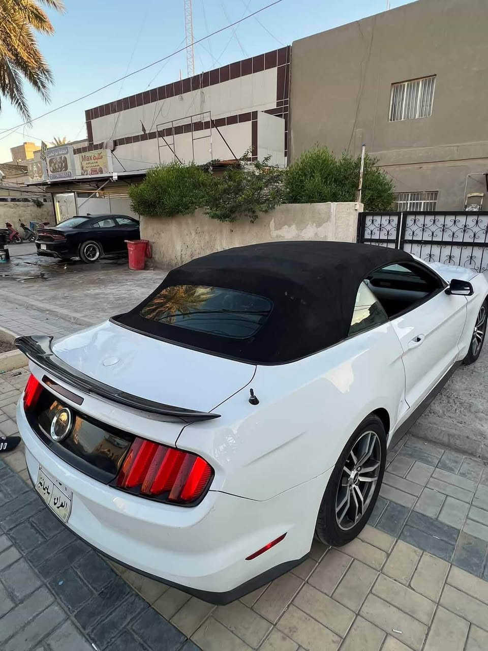 سلام عليكم موستنك أيكو بوست 2017 فول بريموم محرك كير وضع شركه ممفتوح ماشيه 57 ميل حادثه جاملغ وبنيد وهنا بيه جاملغ خلفي صور ماعنديي
بيه مقدمه الشواصي مصبوغه حزام عده الجنطه  سنويه صاقطه صار سنه تريد تحويل او وكاله سعر 105$  مكاني بغداد الاسكان للتواصل *********** بغداد, العراق
