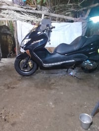 فورزه 08 • أوراق صولي • خان بني سعد