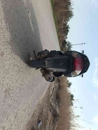 سكنس فحل 140كوم حديد سعر نهائي 350رقم 07776988365