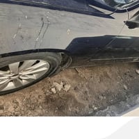 تخم ويل كب 17 للبيع هذا رقمي للتواصل 07715257697