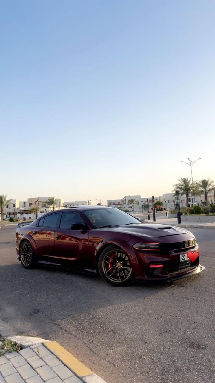 السلام عليكم 

للبيع فقط 🔥♥️

دوج جارجر سكات باك وأيد بدي اصل موديل2021 رقم اربيل 
المواصفات 
فتحه 
كشنات تدفئة
دواخل كاربون فايبر
دركة كاربون فايبر RPM 
دواخل كنتاره وجلد 
كشن كهرابائي
سستم صوت سماعات 
ويل عنكبوت اصلي مو صيني
تخم تايرات تو سايز جديد
لايتات امامية عدسة زرع متغيره الالوان 
ماشيه40 
حادث سياره جاملغ وبنيد وجاملغ ثاني كلير فقط بدون حادث سونار بالمنشور مع صور الحادث 
 
***********
