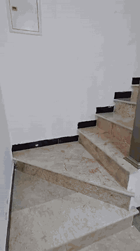 دار للبيع 
بيت للبيع 
للبيع بيتين تونات – بناء حديث في مجمع الضباط السكني / شارع المطار

المواصفات:
 • عدد البيت: 2 (تونات)
 • المساحة: 100 م² لكل بيت
 • عدد الطوابق: 3 طوابق لكل بيت
 • الواجهة: 6.75 متر
 • النزال: 14.82 متر
 • نوع الأرض: زراعي – سند 25 مشمول بقرار التطويب
 • عمر البناء: سنة واحدة فقط
 • جميع الطوابق مكسوة بالمرمر الفاخر

التقسيم الداخلي:
 • مطبخ
 • صالة
 • هول
 • 4 غرف نوم
 • 3 حمامات

مميزات العقار:
 • يقع في مجمع الضباط السكني خلف جامعة المشرق – شارع المطار
 • المجمع محاط بسور ويوجد سكيورتي للدخول
 • تتوفر كافة الخدمات: ماء، كهرباء، مجاري، تبليط

سعر البيت الواحد :-  225,000,000 دينار .
ملاحظة : كل بيت يحتوي على بردات وكاونترات وسبالت جديدة ثابتات .

للاستفسار والتواصل:
أبو ياسر – ***********
