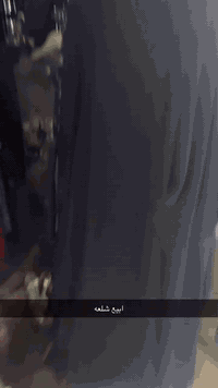 بيع شلعه شي ان مكس والاكثر شتائي كيلو ؏ 5 او تريده شلعها مستعجل تواصل ...