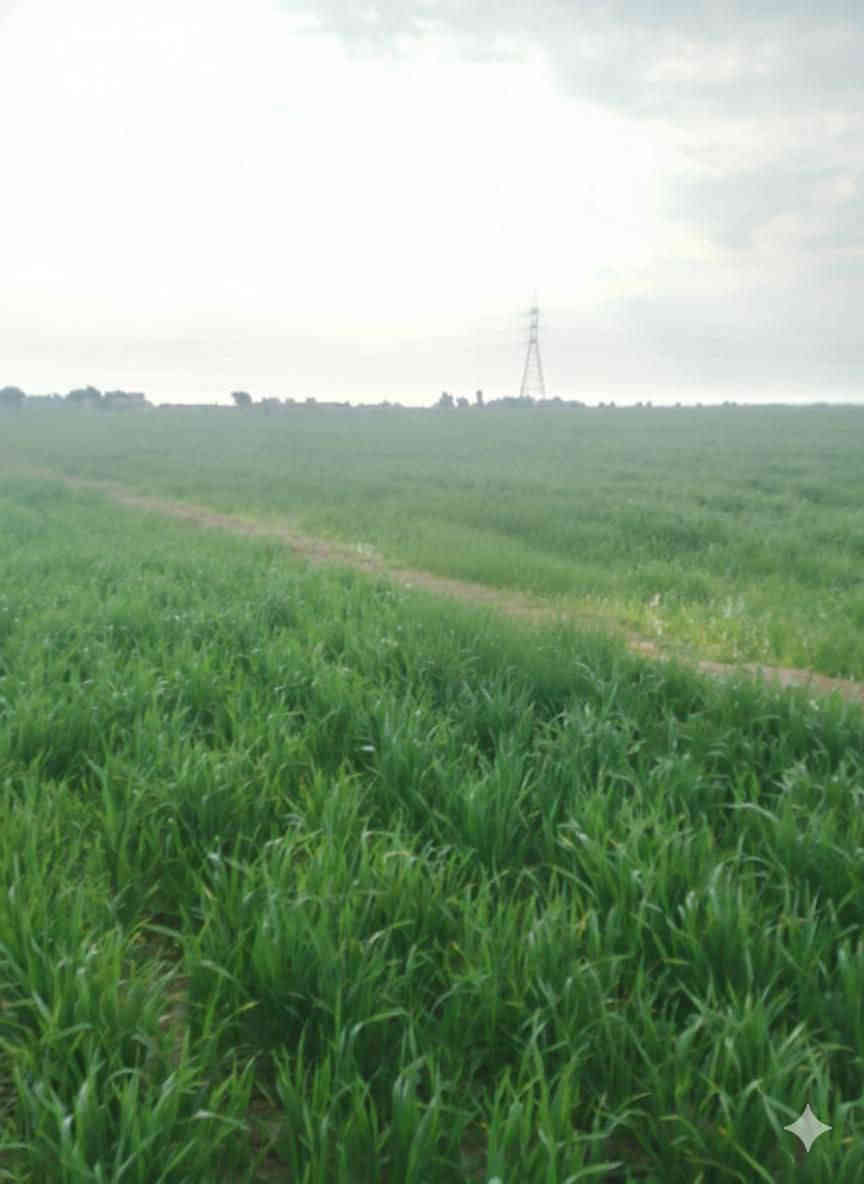 #يالله 
40 دونم للبيع
سند 117
المكان ابو سبع علئ طريق الميمونه

الدونم بيهن نخل حوالي 300 نخله
مع ابيوت  2 كاملات
 وبيت هيكل

خدمات كامله ماء كهرباء تبليط
قرب مدرسه ثانويه الشيخ الطوسي

السعر الدونم الواحد 13. مليون وبيه مجال

الاتصال ع الارقام التاليه او مراسلتنا عبره الواتساب
***********
***********

#ملاحظه"لدينا جميع البيوت والقطع الاراضي بأسعار مناسبه
 
#وجاهزين" لعرض البيوت والقطع الاراضي
