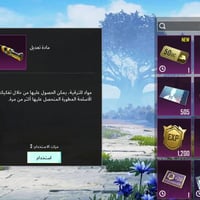 حساب ببجي • فول سكنات • ايدي ٥١٢٤٢٥٠٦٢٢٩