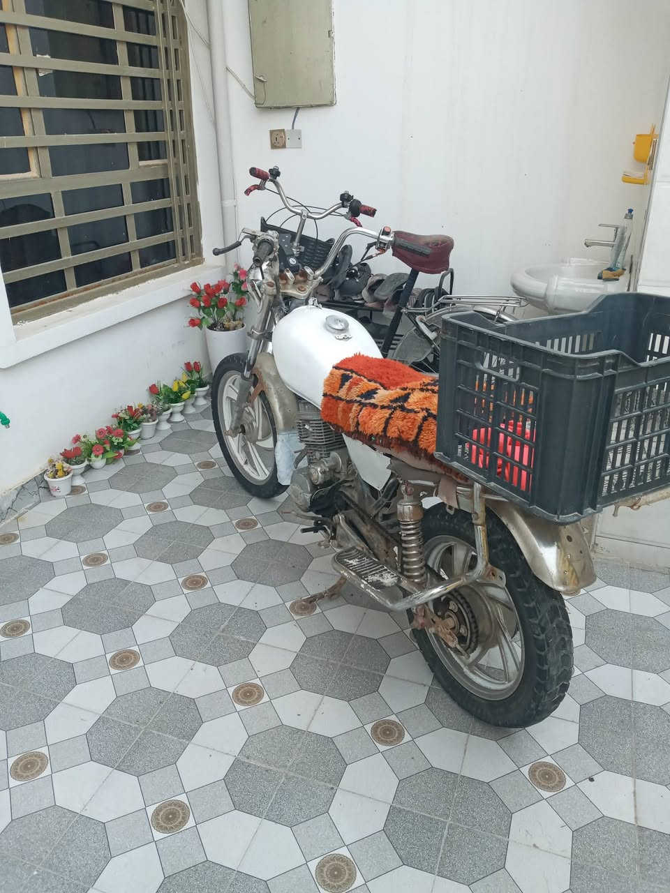 سلام وعليكم دراجه البيع جني
السعر 125
***********
