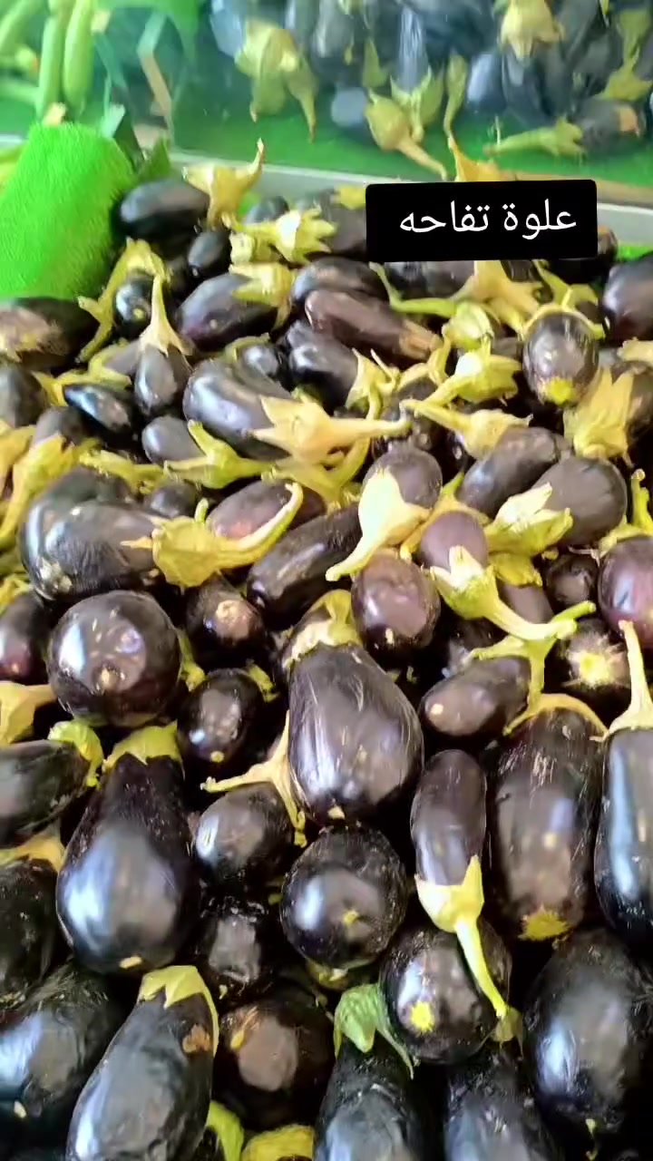 علوه تفاحه للمخضر والخضره والفواكه الاستوائيه والفواكه العراقيه والمخضر العراقي والخضره العراقيه والمخضر الاستوائي يوجد لدينا خدمه توصيل فال الدورة عرب جبور بعثه والهواشه وعرب جبور ومستعدون لتجهيز كافه المناسبات باسعار رمزيه ومناسبه جدا جدا 
متواجدين علوة تفاحه مقابل افران الفاروق و جاكوار جم للاستفسار والاتصال 4 6 5 1 3 6 1 3 7 7 0 باداره ابو الصوف وانور غانم


**إذا كنت صاحب هذا الإعلان وتريد حذفه لأي سبب، رجاءا أرسل رسالة إلى الدعم الفني**