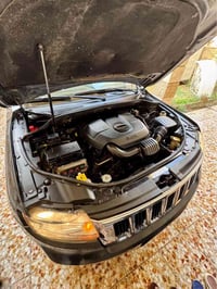 ٢٠١١ • وارد امريكي • مكفولة