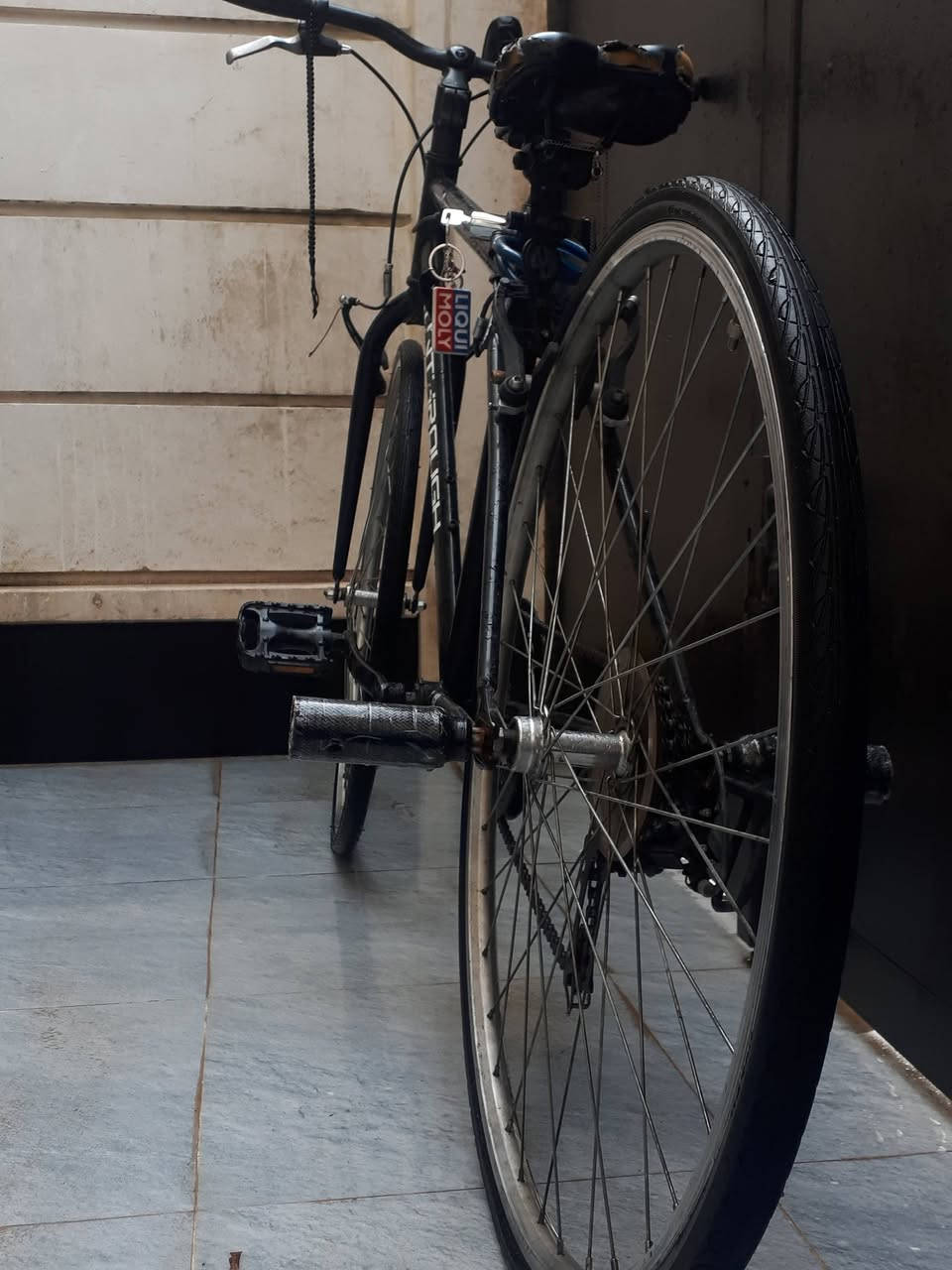 بايسكل C700مطلوب عليه 95وبي مجال للطيبين تريدو تعال خاص


**إذا كنت صاحب هذا الإعلان وتريد حذفه لأي سبب، رجاءا أرسل رسالة إلى الدعم الفني**