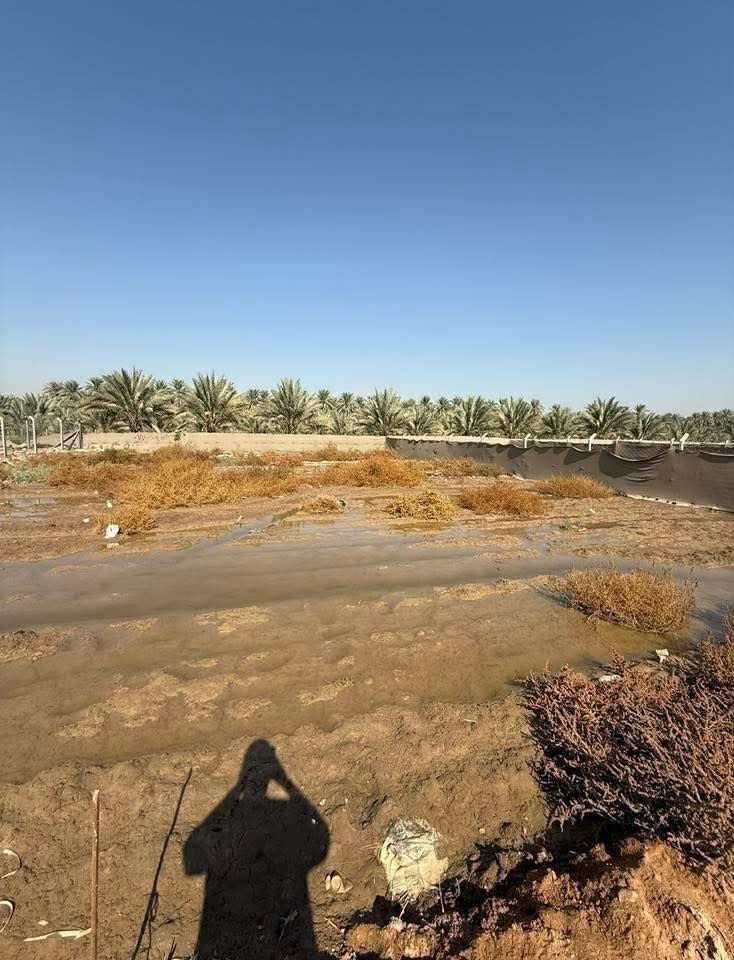 500 متر طابو زراعي تحويل اسهم باسمي كربلاء قرب المعهد الفني خلف جامعة الامل نهر السلام فرع مدرسة دمشق 
ماء اسالة قوي وكهرباء ومدارس تبليط قريب 
السعر 23 مليون وبيها مجال 
***********
