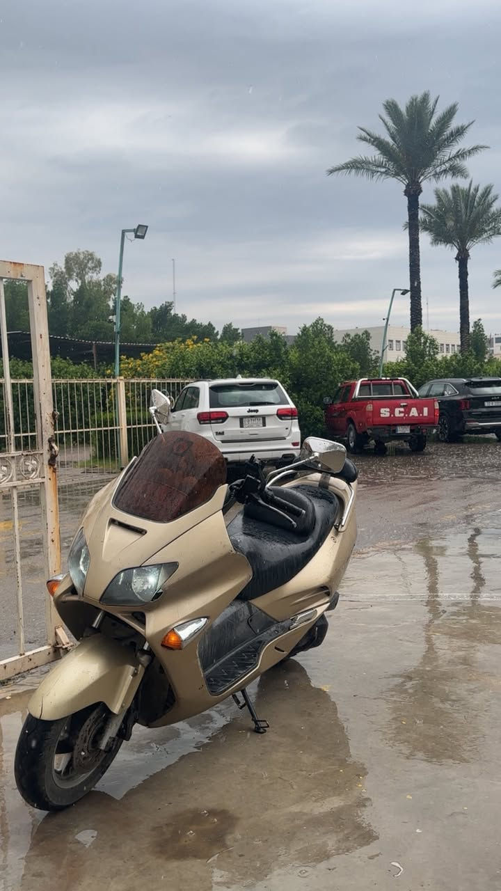 السلام عليكم 
فورزة 06 رقم انكليزي تحويل مباشر مكفوله للبيع 
العنوان بغداد الكرخ
للاستفسار 
***********
