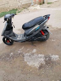 ماكس • عدله • كفاله