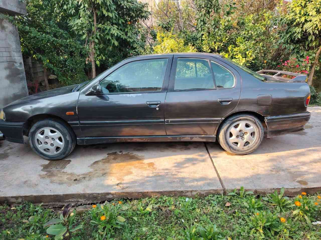 نيسان براميرا (للبيع) موديل 1992 گير ومحرك مكفلوت والسياره بأسمي الرقم بغداد (الماني) والسعر 30 وبيها مجال
للشراء وألاستفسار الاتصال على الرقم ***********
