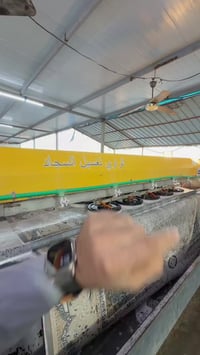 الفلوجة • غسل الراوي • خزن دليفري