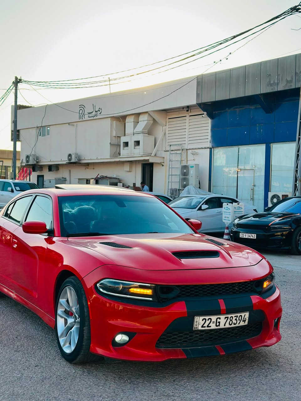 أنسب الاسعار قطعة مميزه🔥
جارجر 2020 سكات باك 

رقم اربيل جاهزه بدون نقص 

الحادث(تبديل وصبغ جاملغ امامي وبنيد وباب بدون شاصي ايرباك راجع سستم) موجود سونار

الموصفات(فتحة بصمة تشغيل عن بعد سوبر تراك باك شاشة جبيره مقاعد جلد حضن حساسات خلفيه كامره دواره وباقي الموصفات المعروفه

عداد المسافه 18 الف ميل 

نقد فقط لادين ولامراوس 

العنوان:النجف-المدينه المائية-معرض الحوت 

الشراي يتصل موجود وتساب واتصال 

*********** 

السعر:248 ورقه وبيه مجال بسيط
