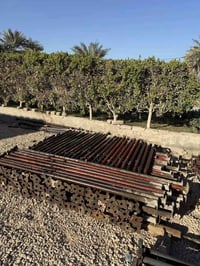 بابل • حاضن • ٢٥٠