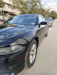 جارجر • ٢٠١٦ • وارد امريكي