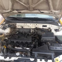 فيرنا • ٢٠١٤ • مكفولة