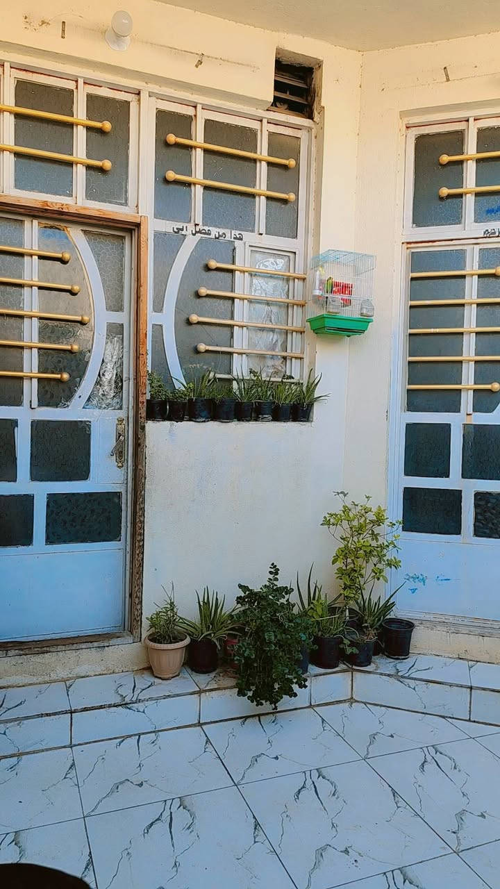 السلام عليكم 🌹
الدار للبيع اركيةوفاضل الزراعي بشارع المدرسة سند 25
 طابقين 3 غرف نوم واستقبال وحولي ومطبخ وصحيات فوك و جوه وخارجية والطابق ثالث بيتونة كبيرة وسطحين 
للاستفسار ***********
