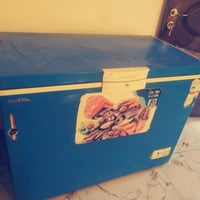 مجمدة • نظيفة كلش • موسمين