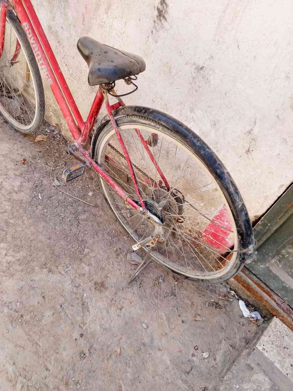 باسكل للبيع ياباني بي اعوجاج بالويل بسيط يتعدل يم المصلح حجم 27 قيم واخذ بما يرضي الله التواصل خاص


**إذا كنت صاحب هذا الإعلان وتريد حذفه لأي سبب، رجاءا أرسل رسالة إلى الدعم الفني**