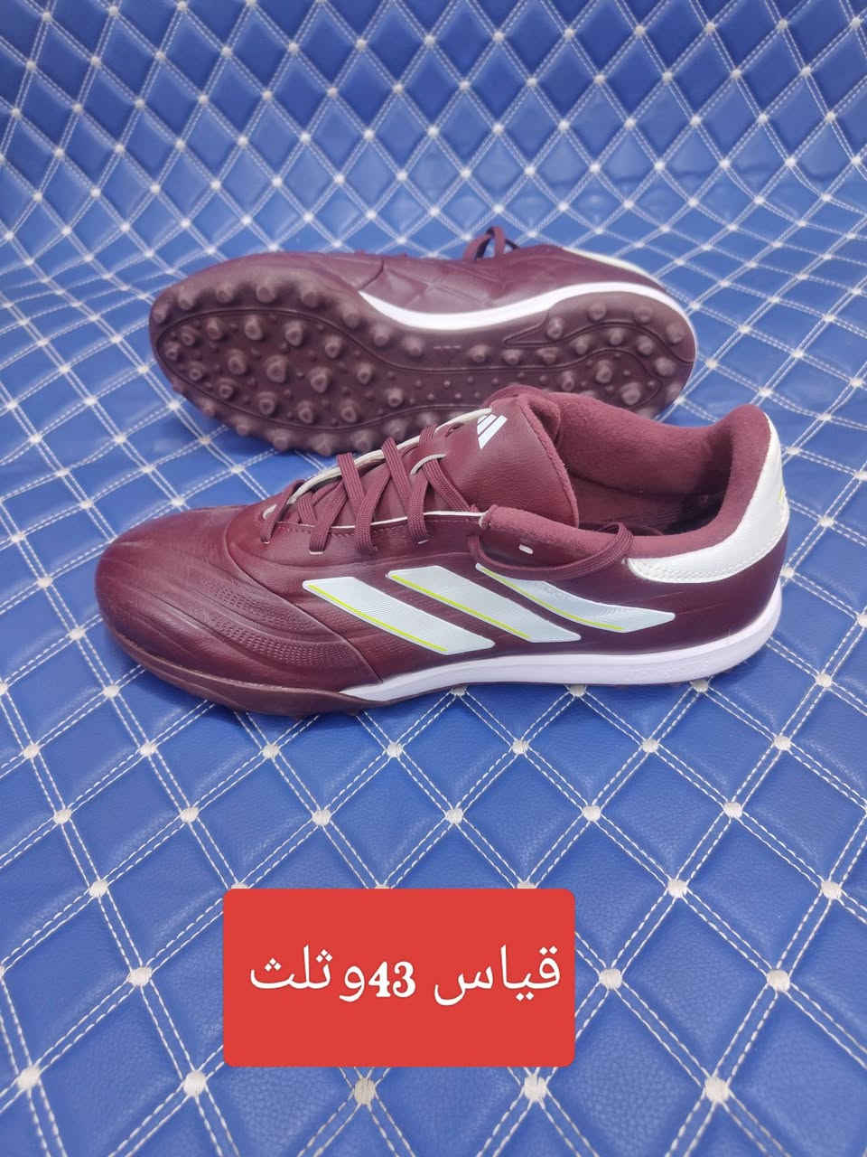 باله أصلي شرط النضافه
توصيل كافه محافظات العراق الاستفسار خاص


**إذا كنت صاحب هذا الإعلان وتريد حذفه لأي سبب، رجاءا أرسل رسالة إلى الدعم الفني**